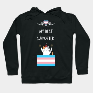 trans rights Hoodie